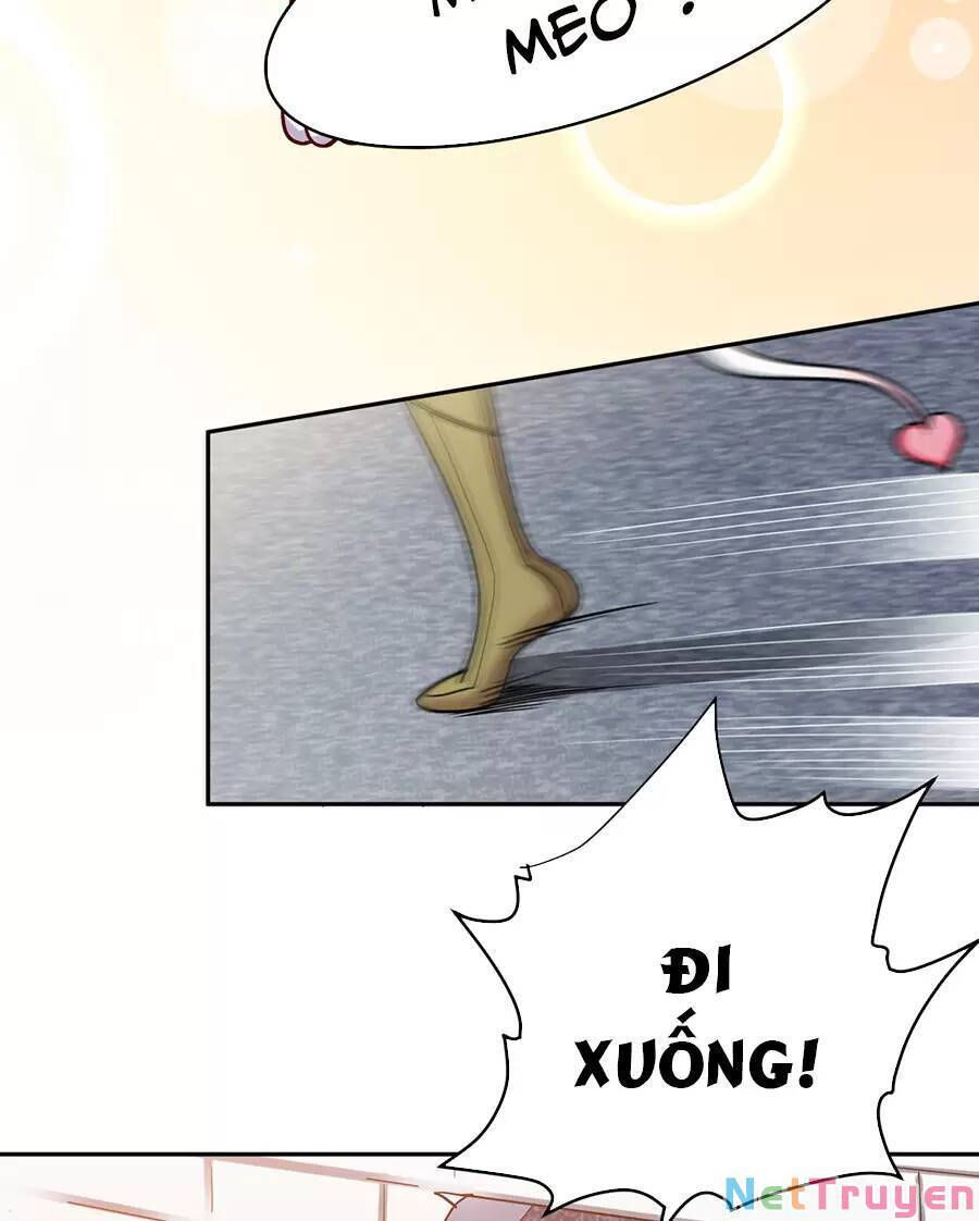 đồ long kỵ sĩ hôn môi ác long chapter 38.2 20