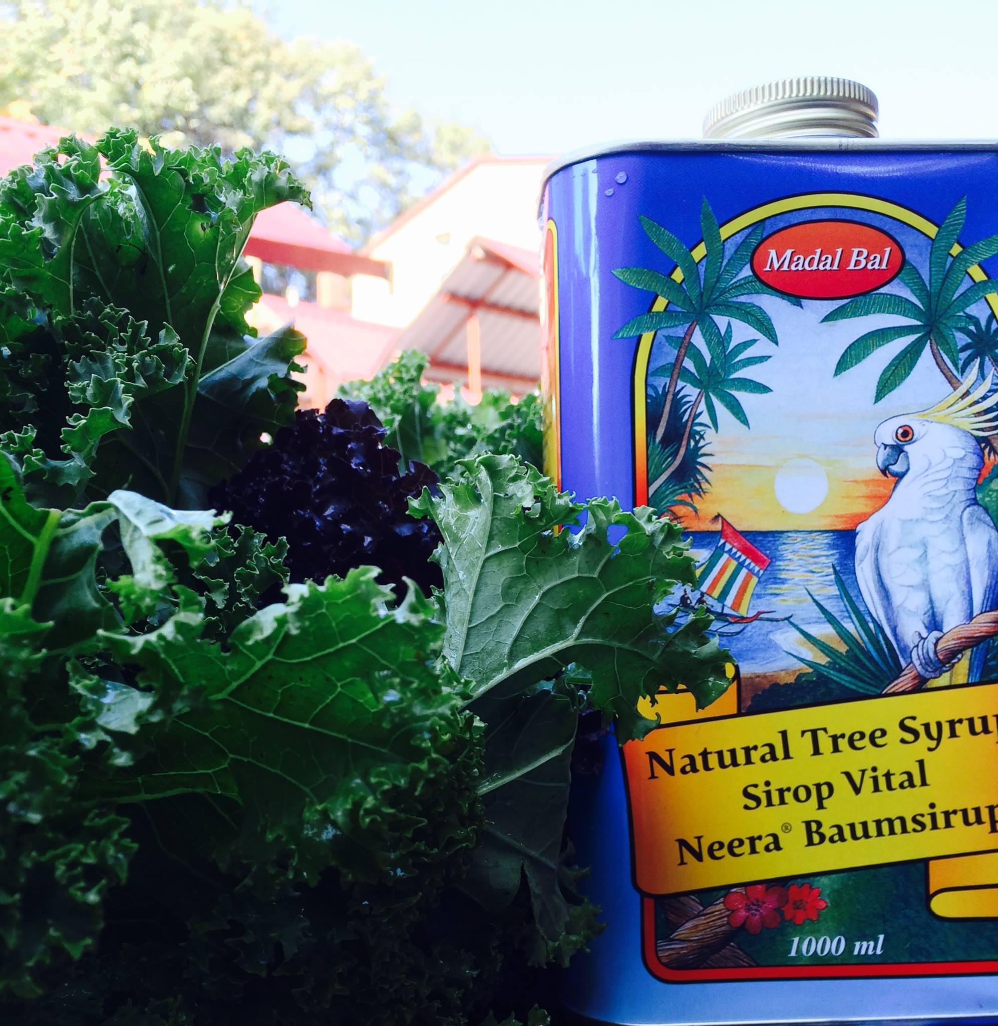 Siro Detox Neera Madal Bal Natural Tree Syrup