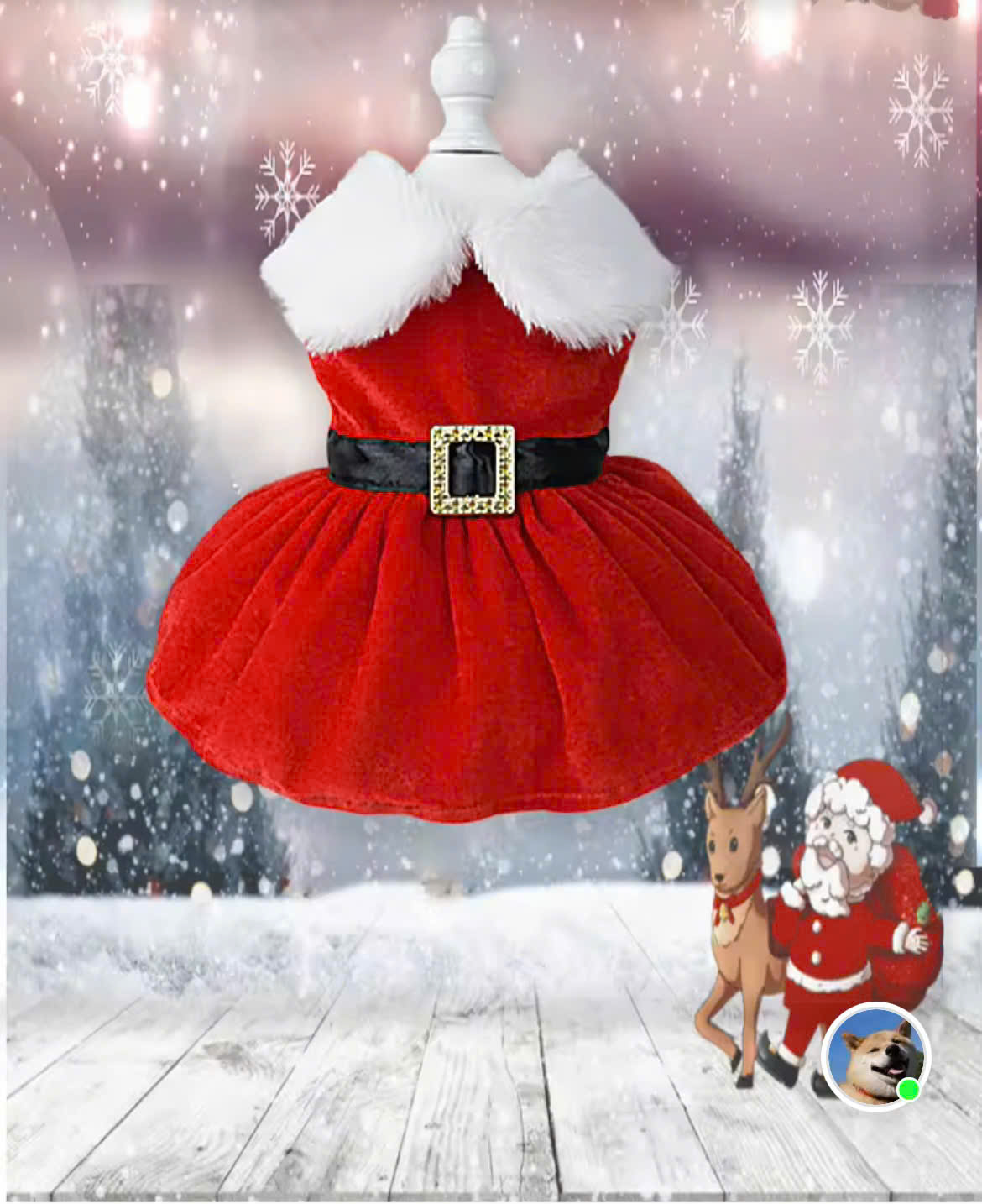 ĐẦM NOEL SANG TRỌNG 07 TỪ 0.2-9KG DÀNH CHO THÚ CƯNG CHÓ MÈO