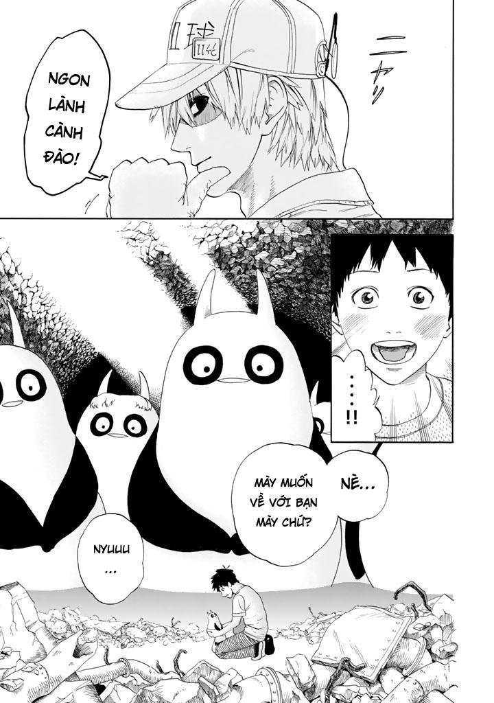 hataraku saibou! chapter 20 42