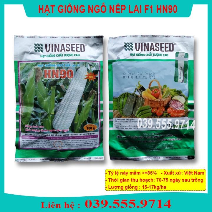 HẠT GIỐNG NGÔ NẾP LAI HN90 GÓI 100G - HẠT NGÔ TO THƠM NGON DẺO THƠM