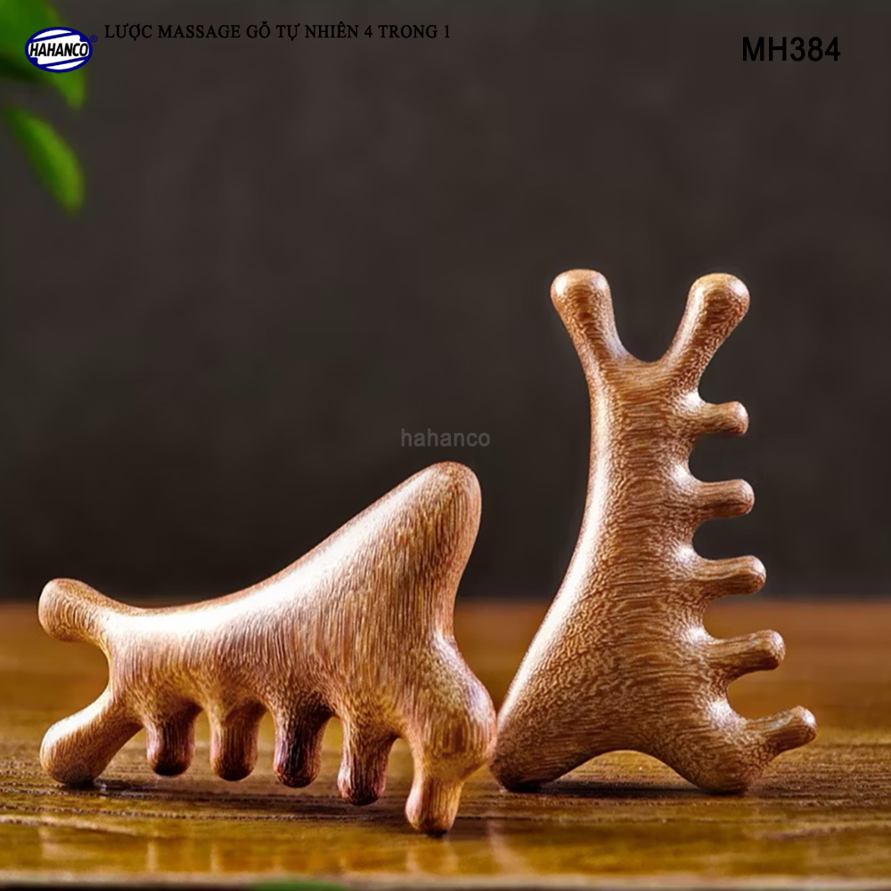 Lược Massage Dụng Cụ Làm Đẹp Chuyên Nghiệp Gỗ Tự Nhiên 4 Trong 1 - HAHANCO - MH384