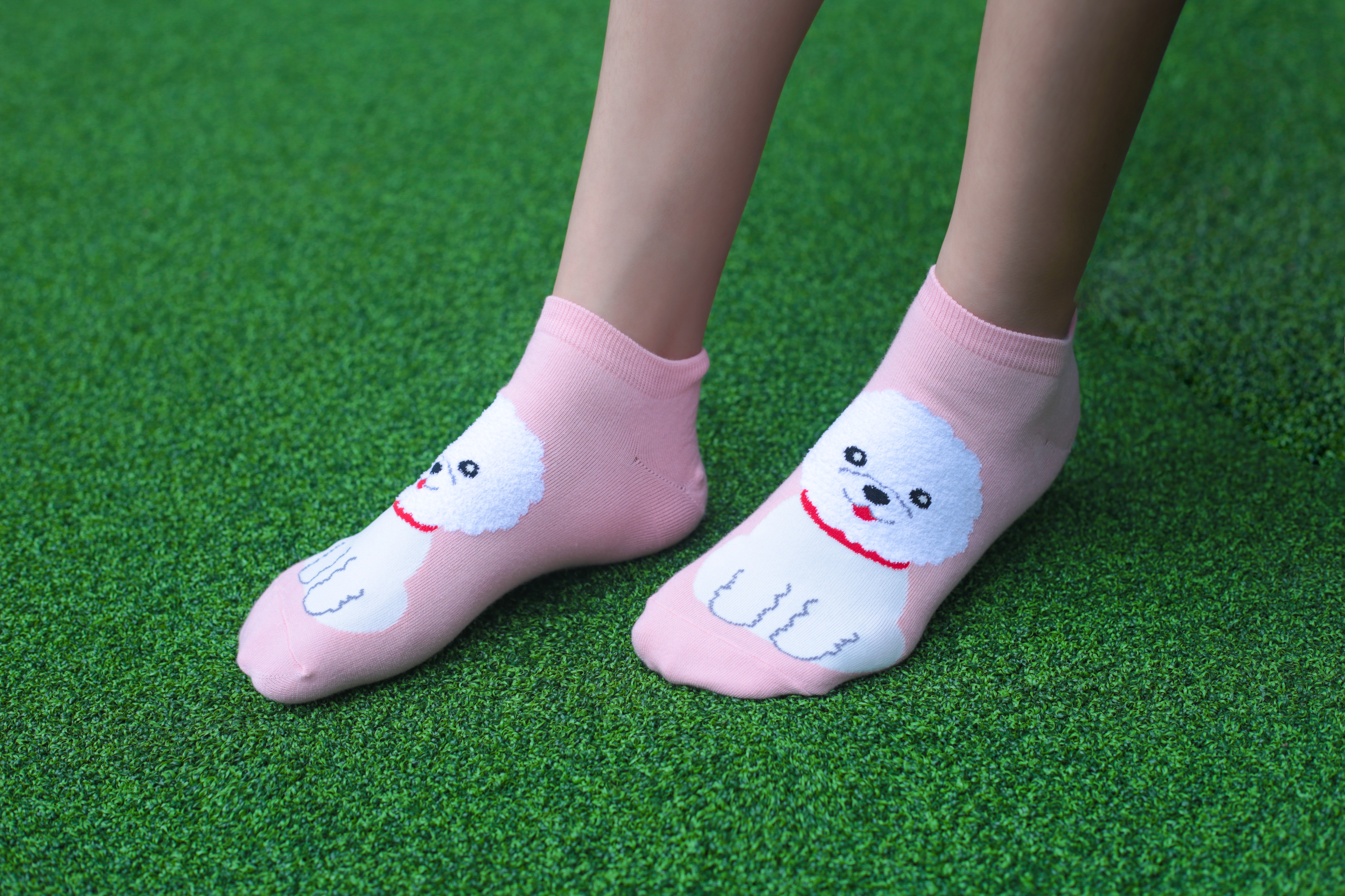 Tất vớ Nữ hàn quốc KIKIYA SOCKS. Đẹp, Dễ Thương, Cá Tính, W-A-017