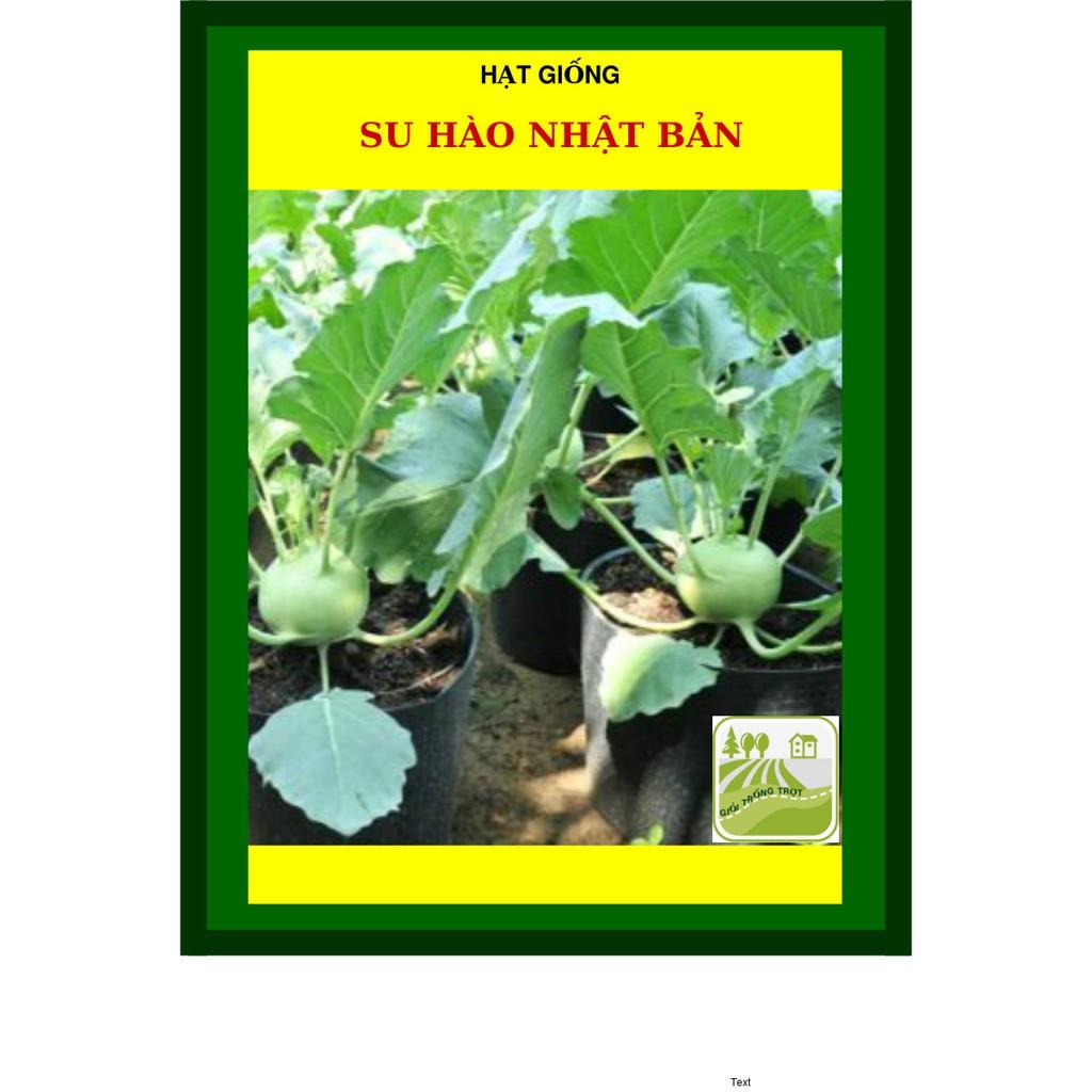 2G - Hạt Giống Su Hào Nhật Bản, Su Hào Tím
