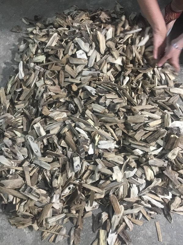 Trầm hương miếng - Giác xông Đại Lộc - Quảng Nam 100g ( loại thường )