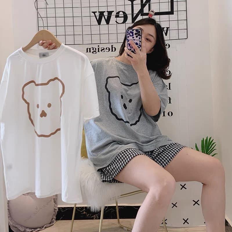 Set bộ đồ hình gấugấu cute