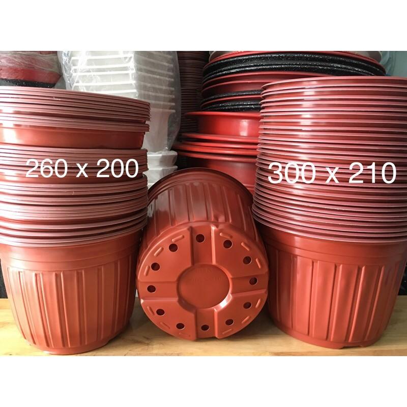 10 Chậu Nhựa Dẽo Vành Trồng Cây, Ươm Mầm, Ươm Cây