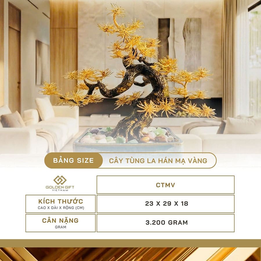 Cây Tùng La Hán mạ vàng