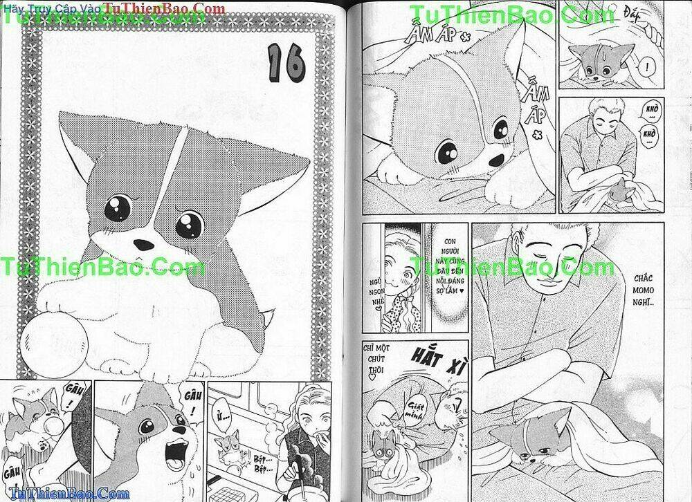 chó con mo mo chapter 1 57