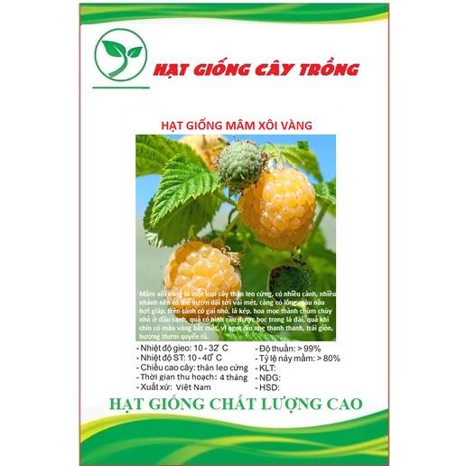 Hạt giống quả mâm xôi vàng CT299 - Gói 30 hạt