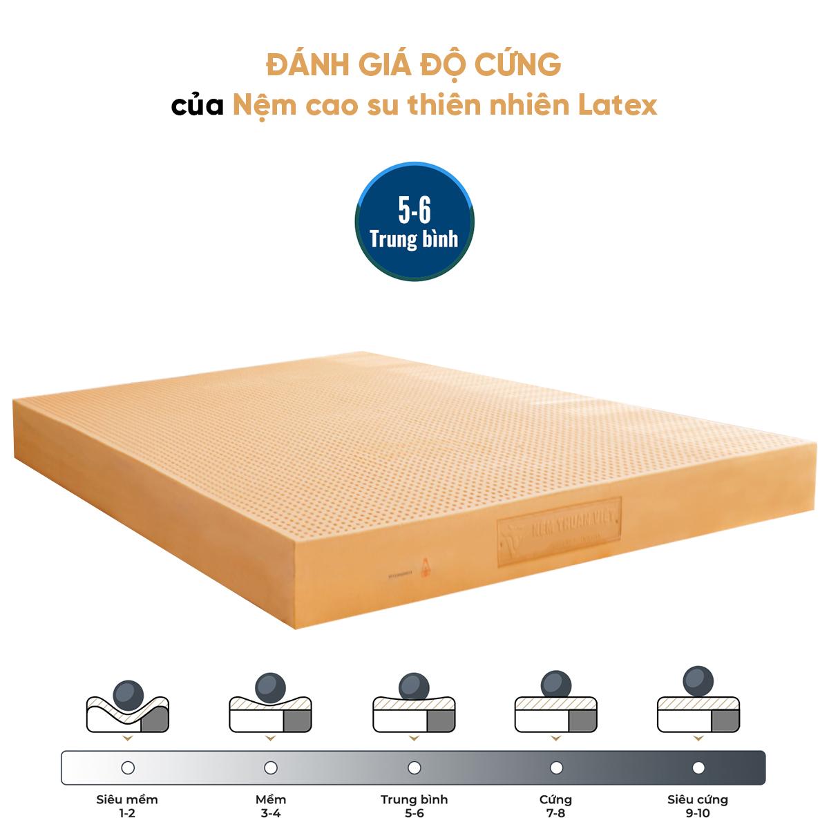 [Độ dày 5cm] - Nệm Cao Su Thiên Nhiên Latex Thuần Việt - Nâng Đỡ 7 Vùng, Thoáng Khí - Bảo Hành 15 Năm
