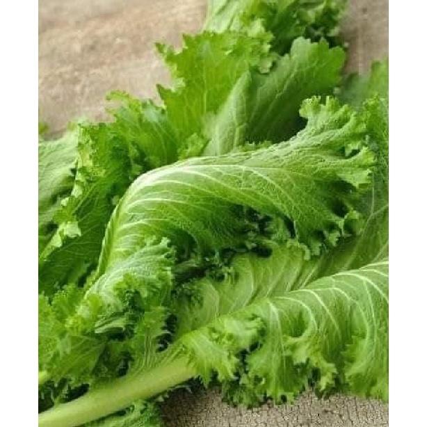 Hạt giống rau cải xanh mù tạc dể trồng f1-gói 10 gram/tặng kèm gói phân bón lót