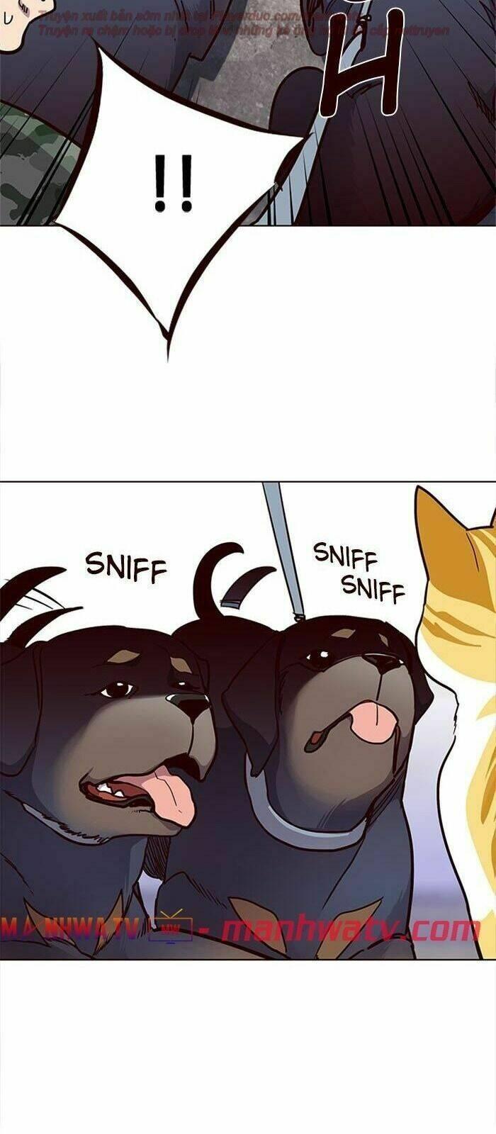 biến thân thành mèo chapter 36 128
