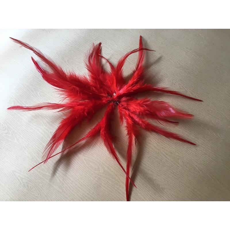 Lông gà màu đỏ đẹp dùng trang trí đa dụng