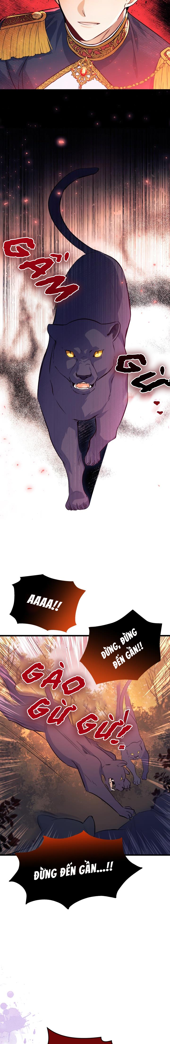 mối liên kết giữa báo đen và bé thỏ chapter 12 14