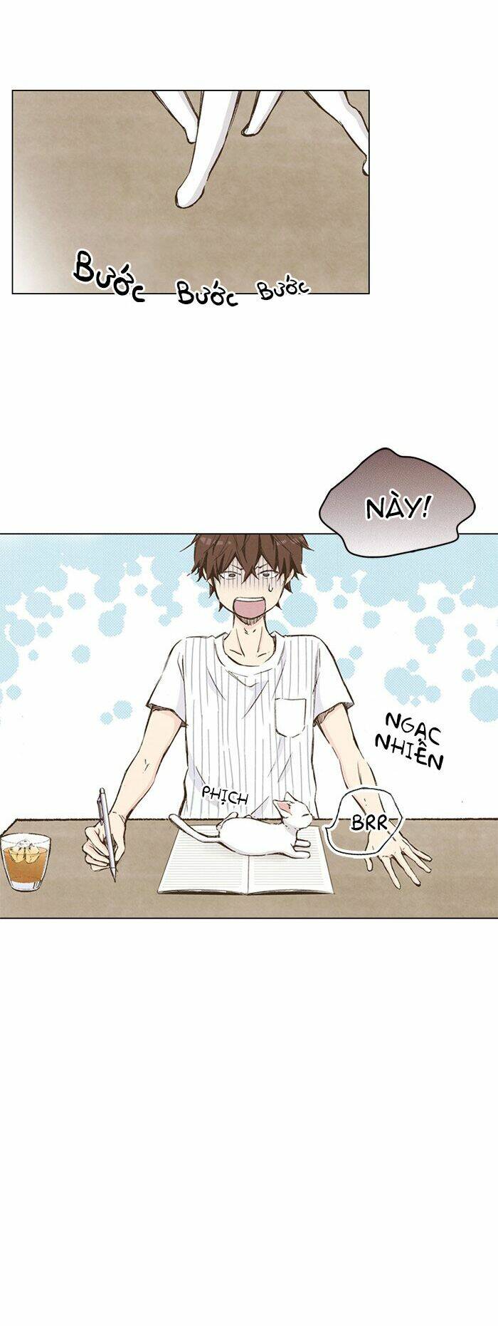 marry me! chapter 36 13