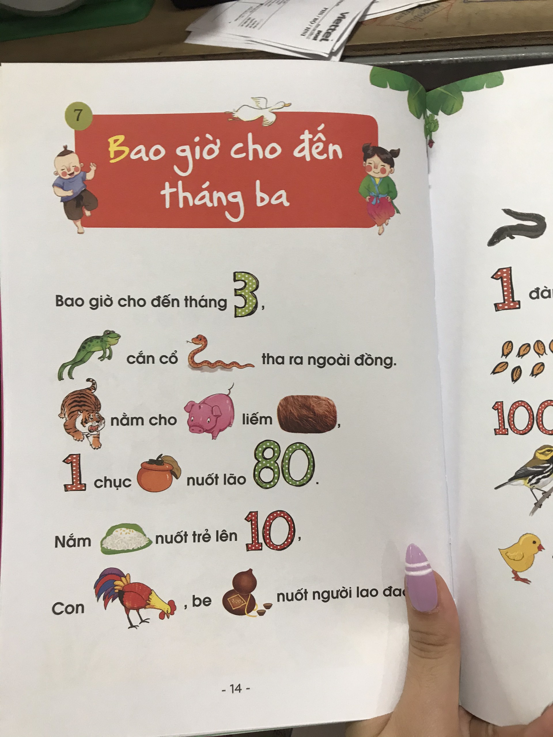 Combo Câu đố tư duy hình ảnh cho bé tập nói tập đọc + Đồng dao tư duy hình ảnh cho bé tập nói tập đọc