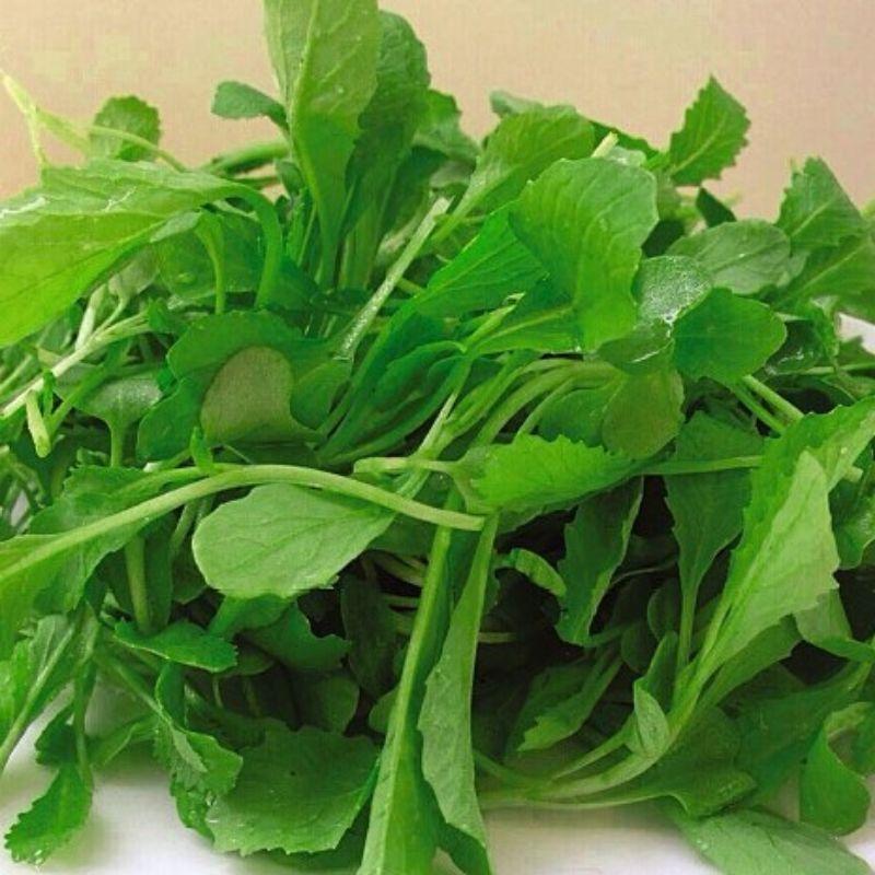 Hạt giống cải xanh ăn non , đóng gói 20gr