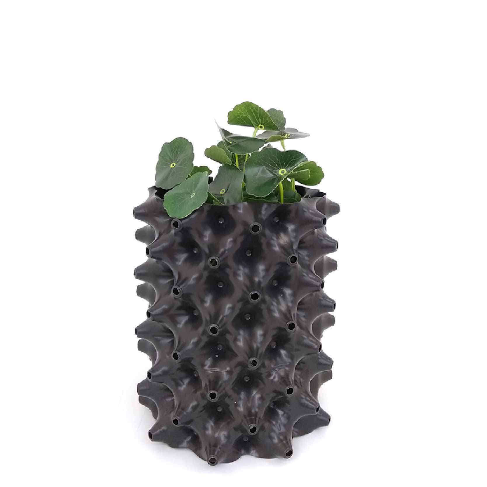 Bầu ươm cây thông minh Ecopot cao 40cm x dài 25m