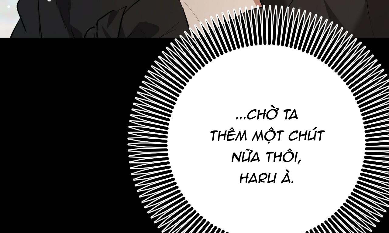 đàn thỏ của habibi chapter 49 273