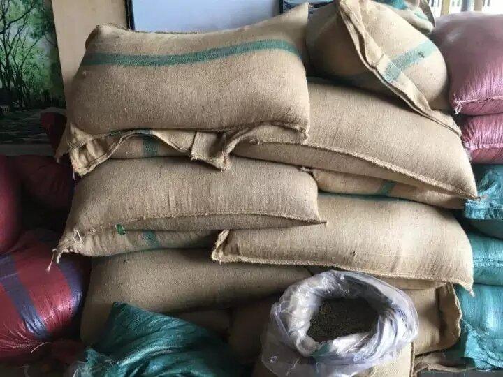 Nhân cà phê arabica cầu đất chất lượng cao