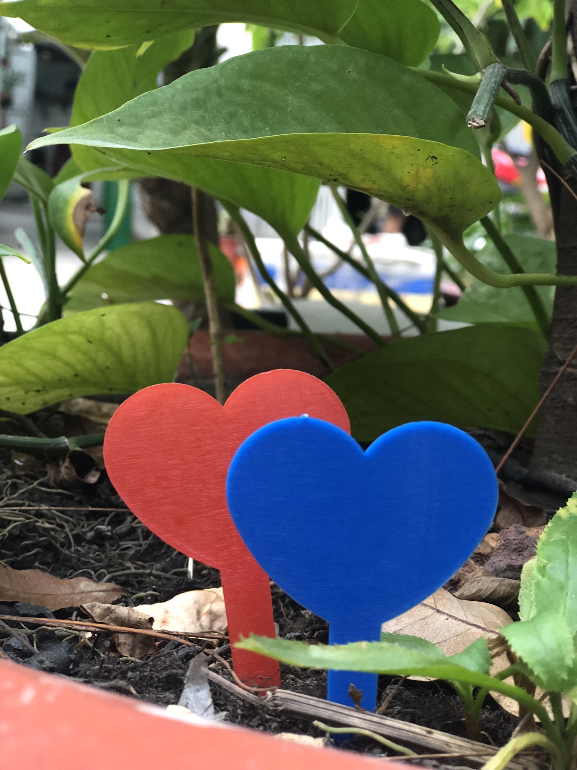 Thẻ ghi tên hoa kiểng, lan dạng cắm hình trái tim - bịch 100 cái