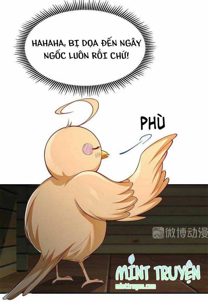 nam thần truy thê chỉ nam chapter 108.1 8