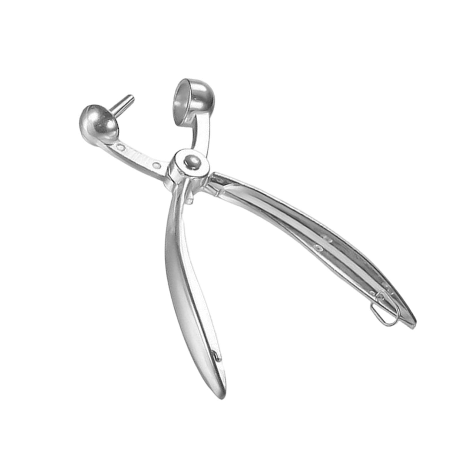 Metal Cherry Olive Pitter Tool, Core Remover, Pear Corer, Corer Fruit for cherry Pears Pear