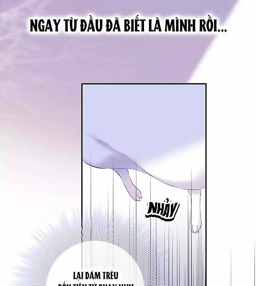 kiều nhi không nghe lời chapter 8 60