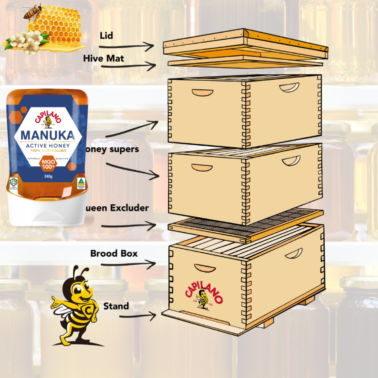 Mật ong hoa Manuka Capilano Active Honey MGO 100+ tăng sức đề kháng, giảm ho, viên họng, dưỡng ẩm da và môi cang mềm mịn (340g) - Massel Official