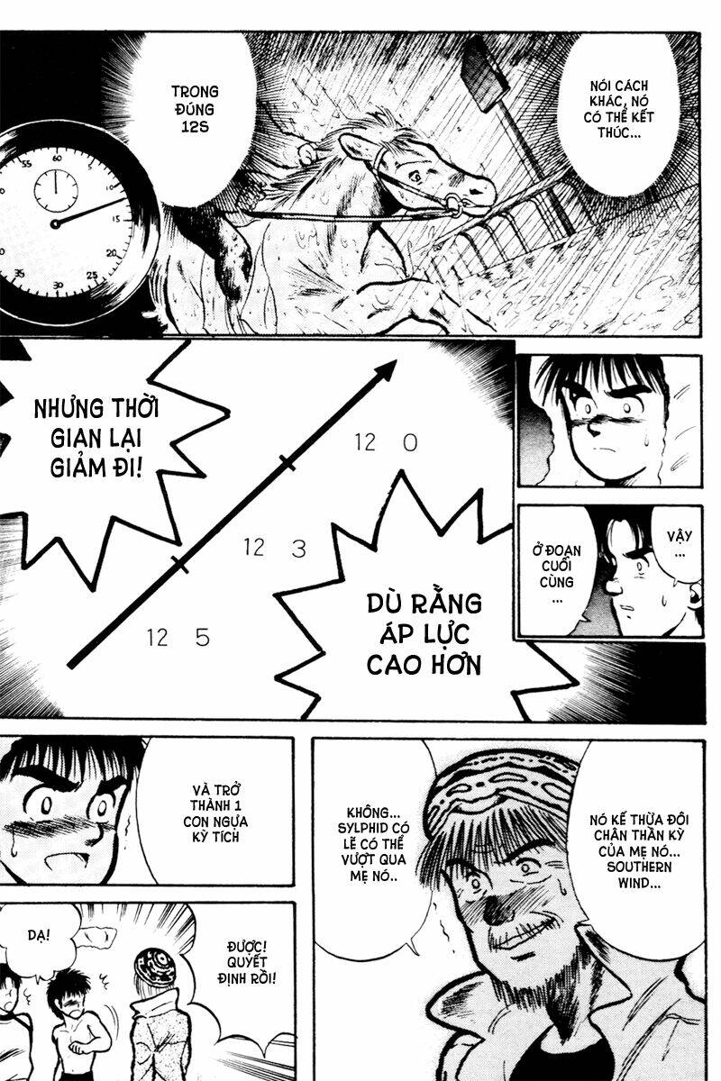 kaze no sylphid - phong mã silphid chapter 13 21