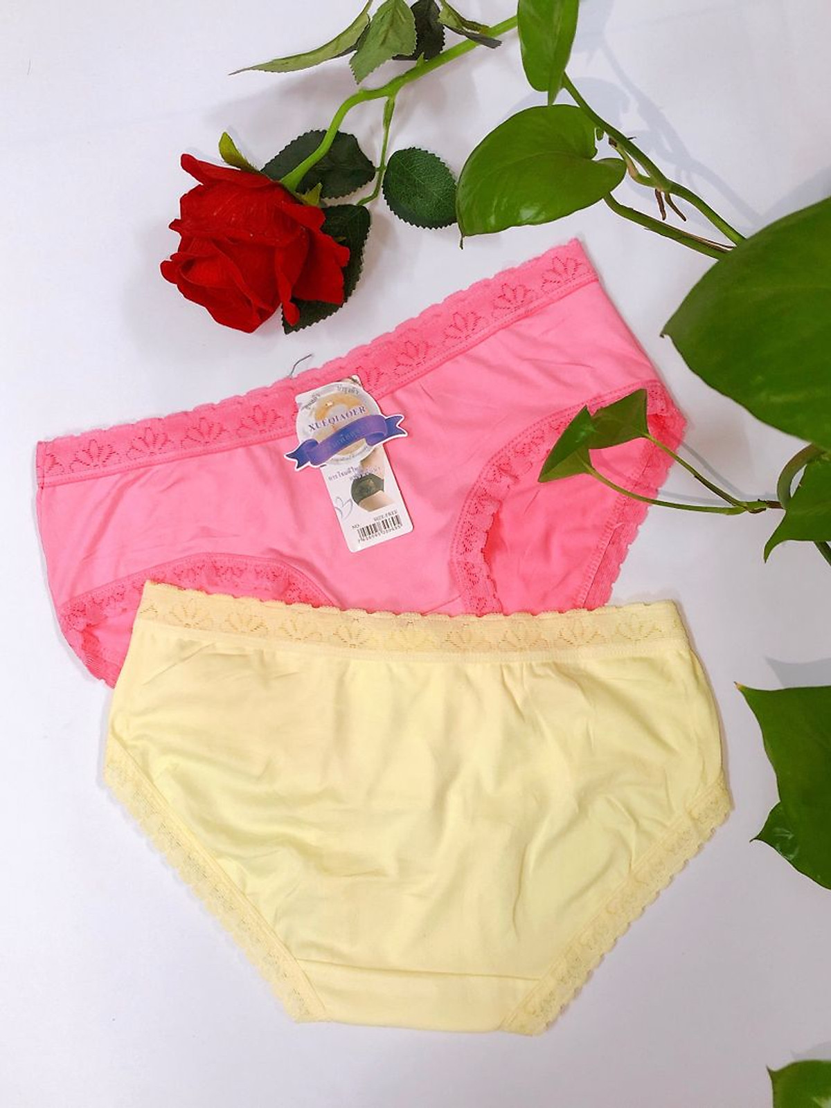 Combo 10 Quần Lót Nữ Cotton Siêu Xinh Viền Ren – Free size 45-60kg – Giao nhiều màu ngẫu nhiên