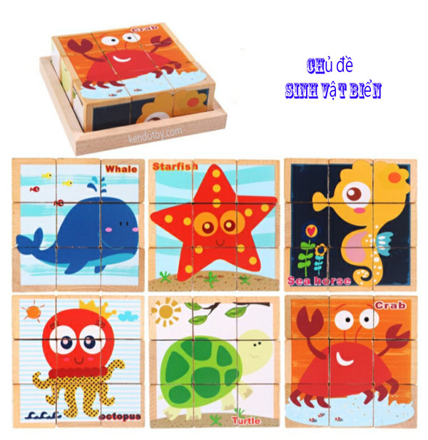 Combo 6 chủ đề xếp hình 9 khối lập phương gỗ beech cao cấp - Block puzzle