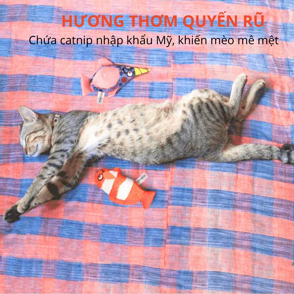 Đồ chơi cho mèo FOFOS, Combo đồ chơi hình cá nemo & cá nhà táng, Chứa catnip, Chịu được cào cắn, Giúp vệ sinh răng miệng