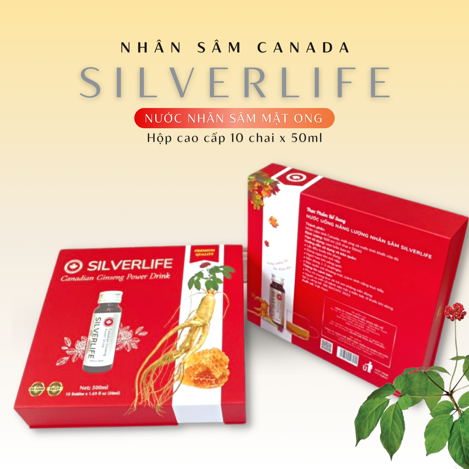 Nước uống tinh chất nhân sâm Canada Silverlife | Thơm ngon bổ dưỡng | Từ 100% nhân sâm Canada chính gốc và mật ong nguyên chất