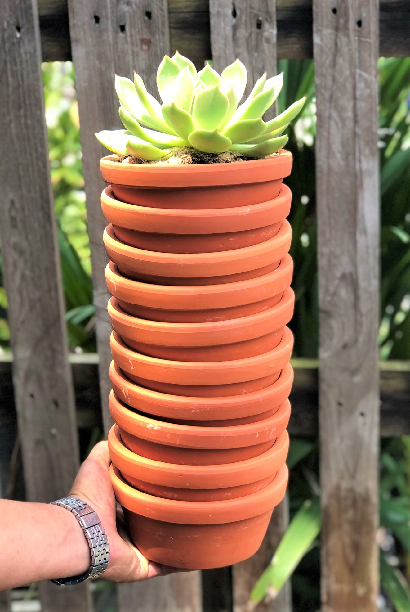 Bộ 10 chậu đất nung trồng xương rồng sen đá rộng 16 cm x rộng 7 cm