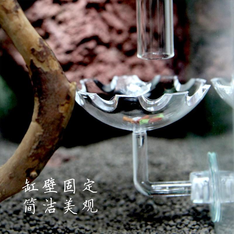 Đĩa cho tép ăn - phụ kiện thủy sinh - shopleo