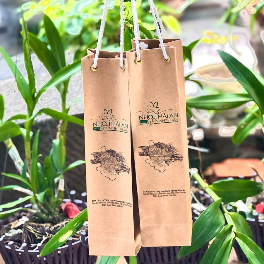 Nước Nho Lên Men Thái An Chai 500ml, Không Chất Bảo Quản, Tự Nhiên, Vị Ngọt Dịu Thơm Vị Nho Đặc Trưng