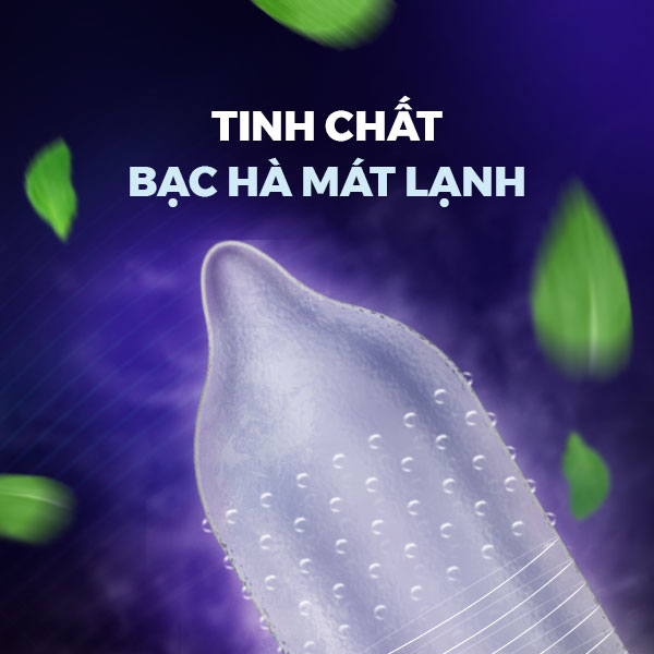 Bao cao su Shell Play Jelly - Tổng hợp 6 tính năng + 1 Play Box Jelly | SHELL CHÍNH HÃNG