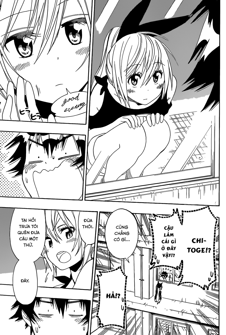 nisekoi - tình yêu giả tạo chapter 117 18