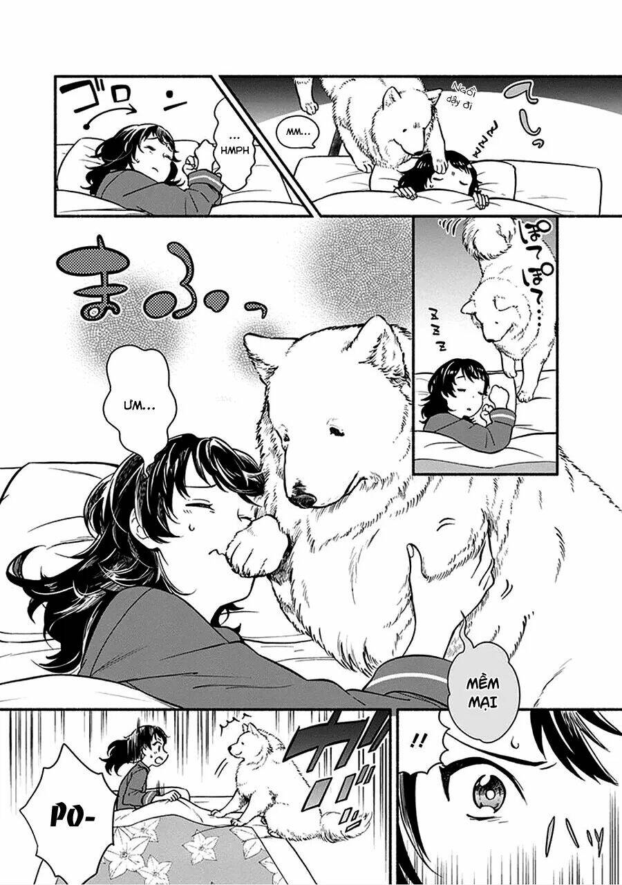 one-room wanko chapter 1 7