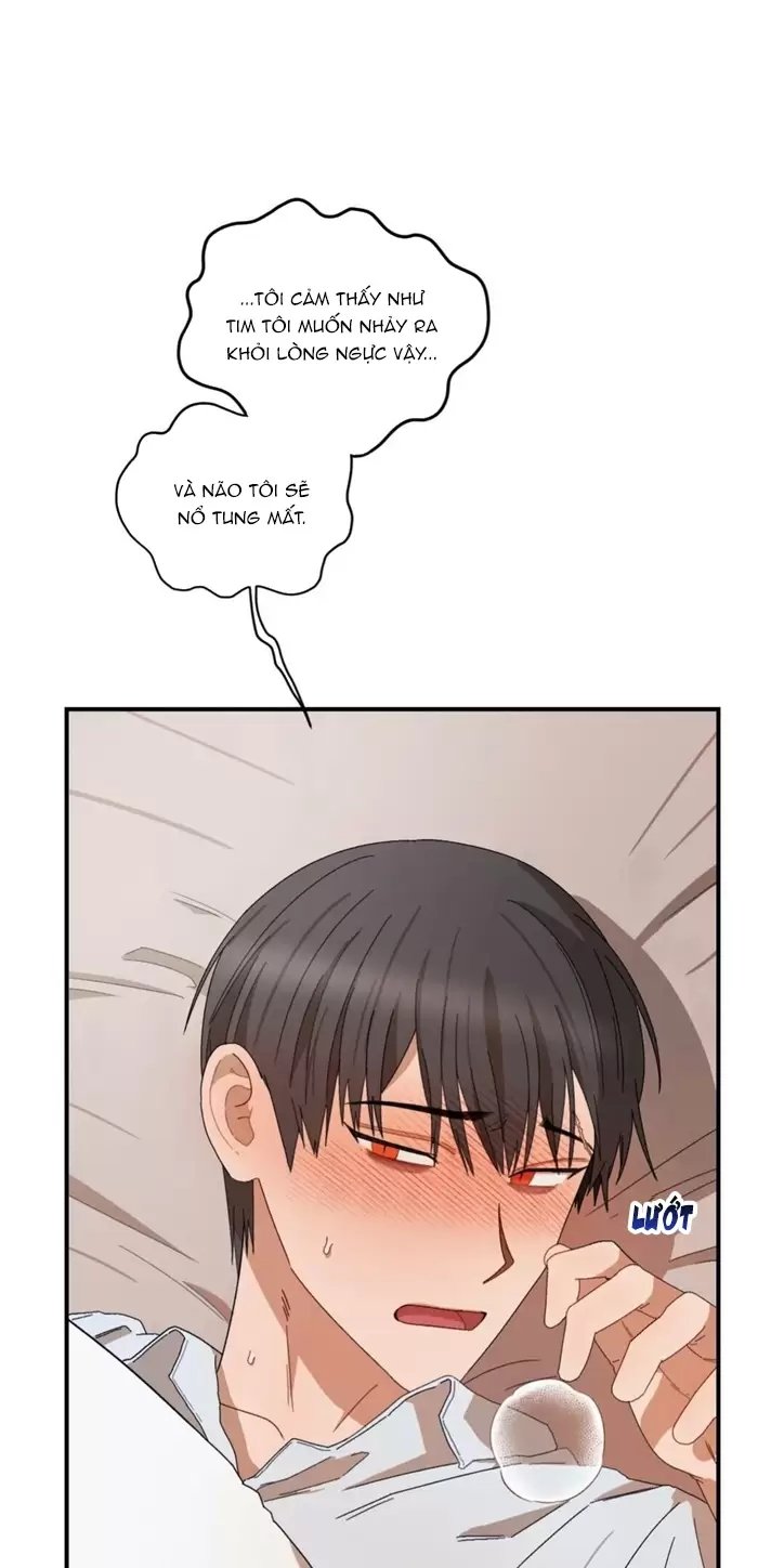 liveta chapter 25 60