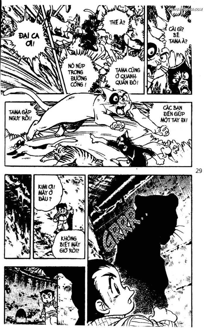 cậu bé giỏi võ chapter 50 9