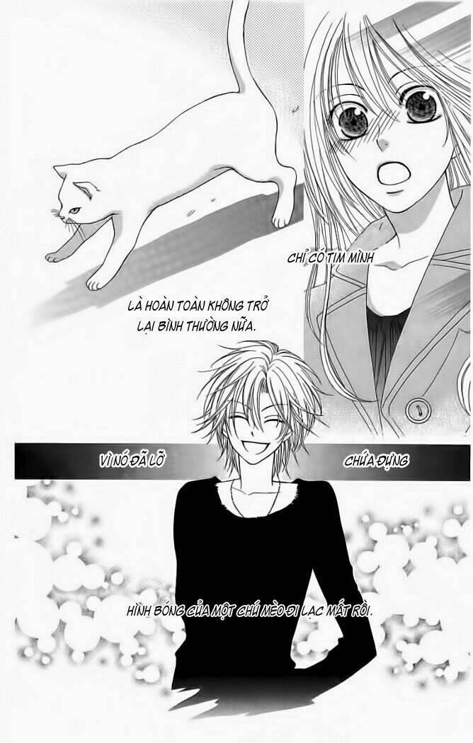 my dear cat chapter 1 36