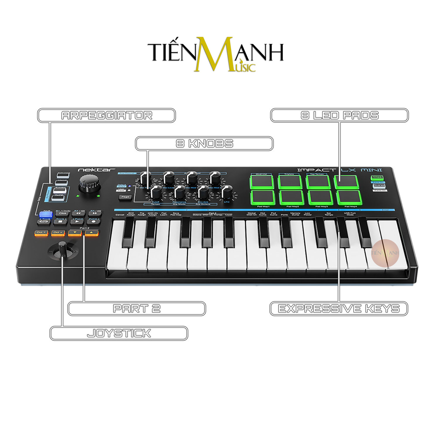 Nektar Impact LX Mini Cảm ứng lực Midi Keyboard Controller Bàn phím sáng tác - Sản xuất âm nhạc Producer Hàng Chính Hãng - Kèm Móng Gẩy DreamMaker