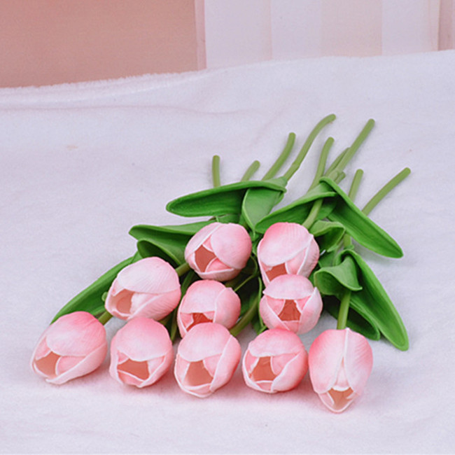 Hoa Tulip Hoa Tulip