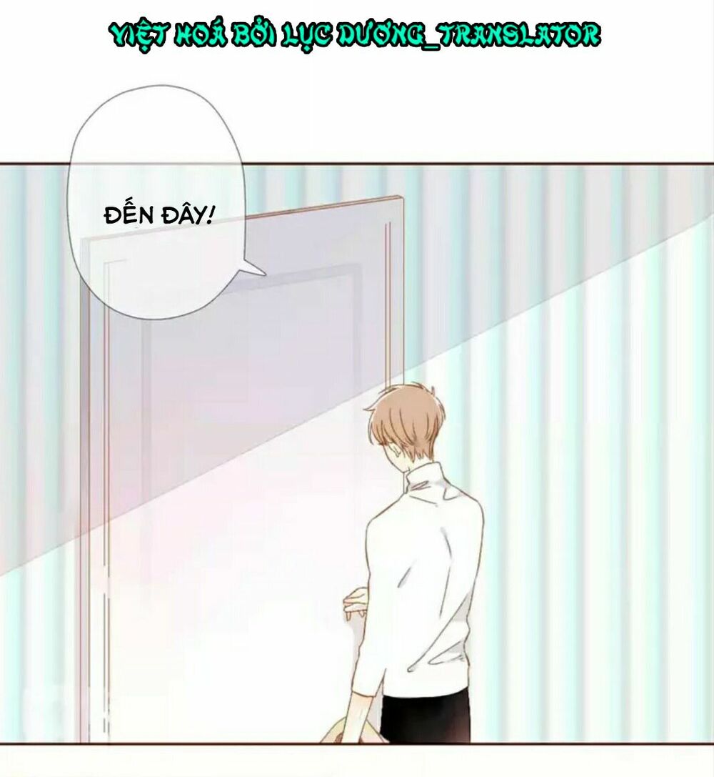 Tình yêu là màu hoa anh thảo chapter 29.2 7