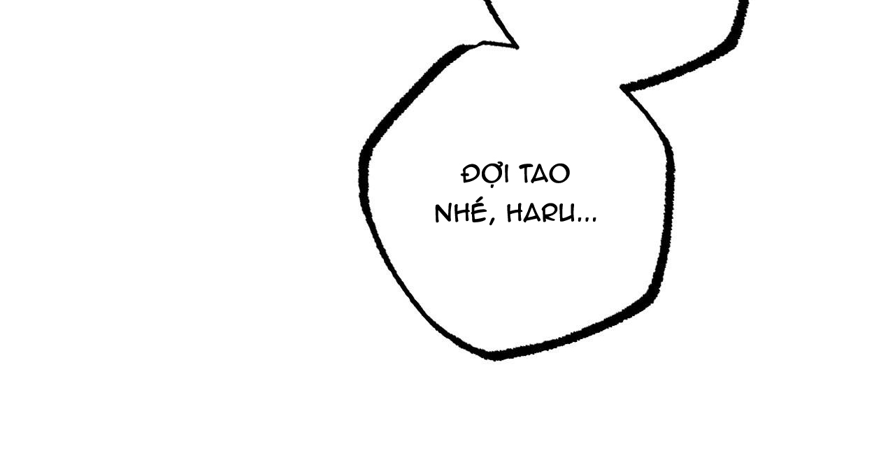 đàn thỏ của habibi chapter 36 223