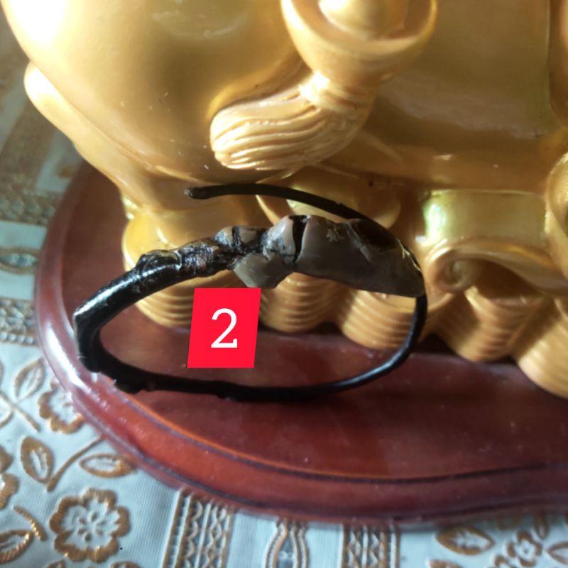Vòng tay san hô đen nguyên bản độc đáo unisex