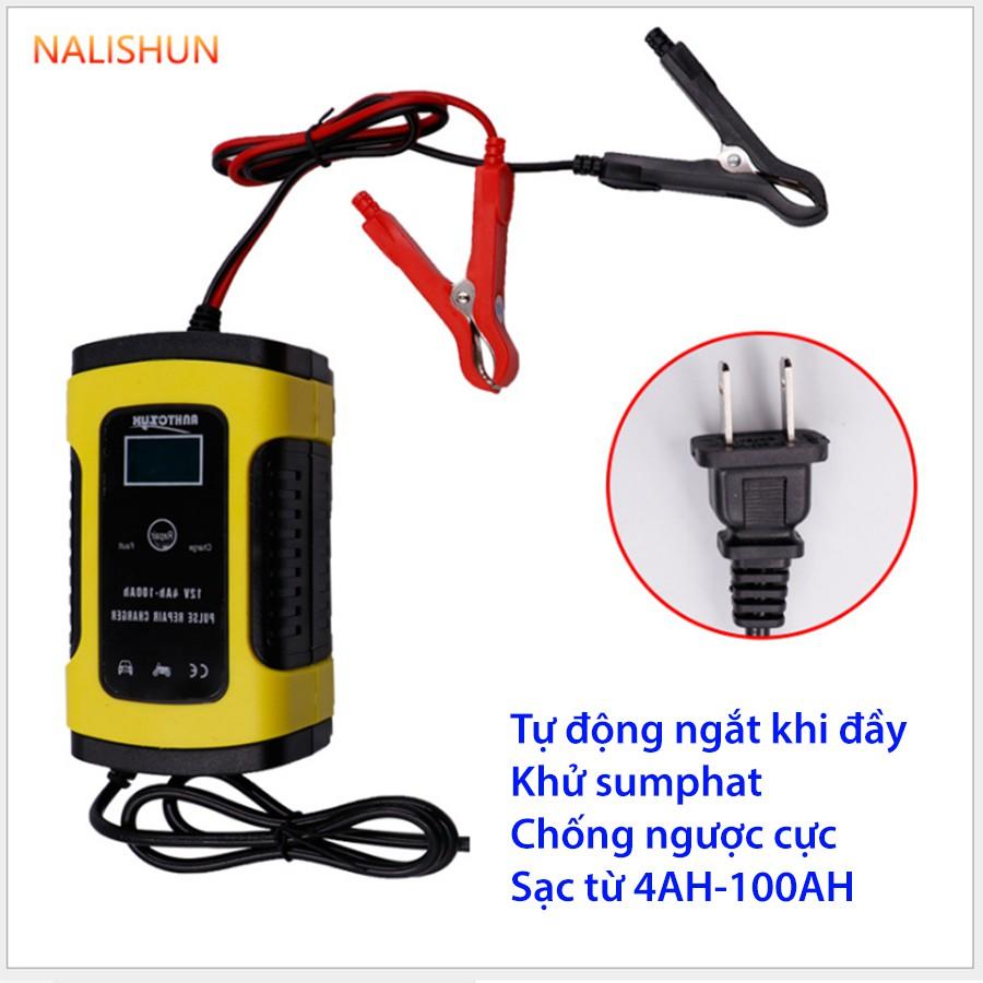 SẠC BÌNH ĐA NĂNG CÓ KHỬ SUMPHAT 12V-100AH